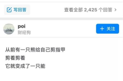 笑话网站 知乎,笑话网站与知乎的欢乐碰撞