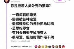人格为重打一字,探寻尊严与权利的边界”