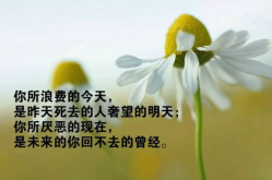 励志句子大全 正能量短句,精选正能量励志短句集锦