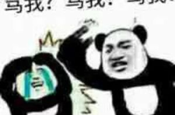 沙雕笑话,沙雕笑话集锦