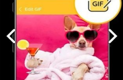 gif动态图片制作app,GIF动态图片制作app使用指南