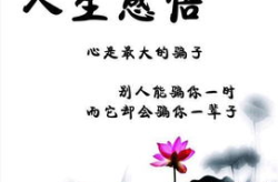 人生感悟 经典,感悟人生真谛